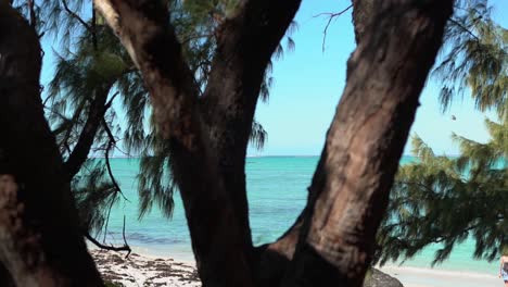 beautiful beach on a private island in mauritius