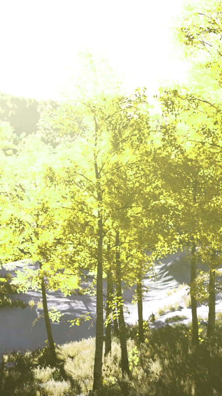 Golden sunlight filters through vibrant green trees in a serene landscape