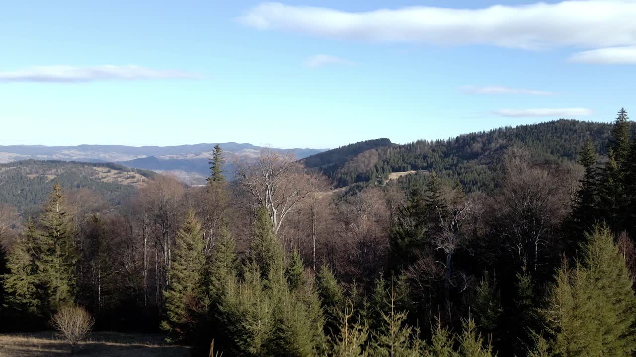 cordilleras de bosques densos con coníferas en el macizo de ceahlau, rumania