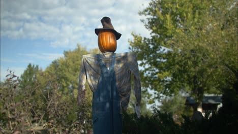 Pumpkin-scarecrow-at-halloween-pumpkin-patch