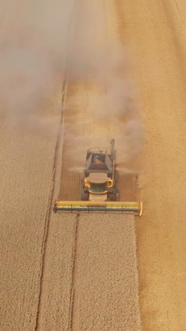beautiful yellow plantation of ripe wheat being cut by a combine. harvesting season in the farmlands. aerial shot. vertical video