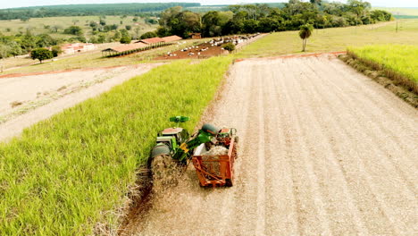 sugar cane harvest in cloudy day in brazil - aerial view - canavial