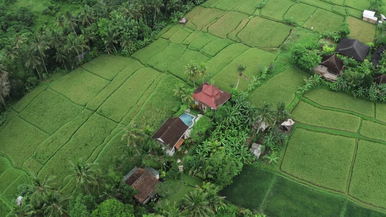 Pemandangan udara dari atas yang menampilkan vila pribadi dengan kolam renang di alam Bali, Indonesia - Rekaman drone yang mengorbit