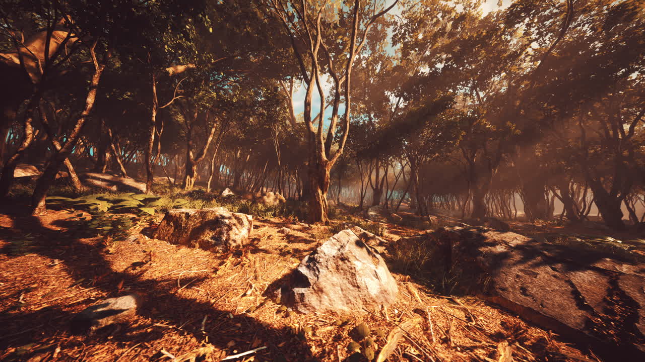 profunda jungla tropical en la oscuridad