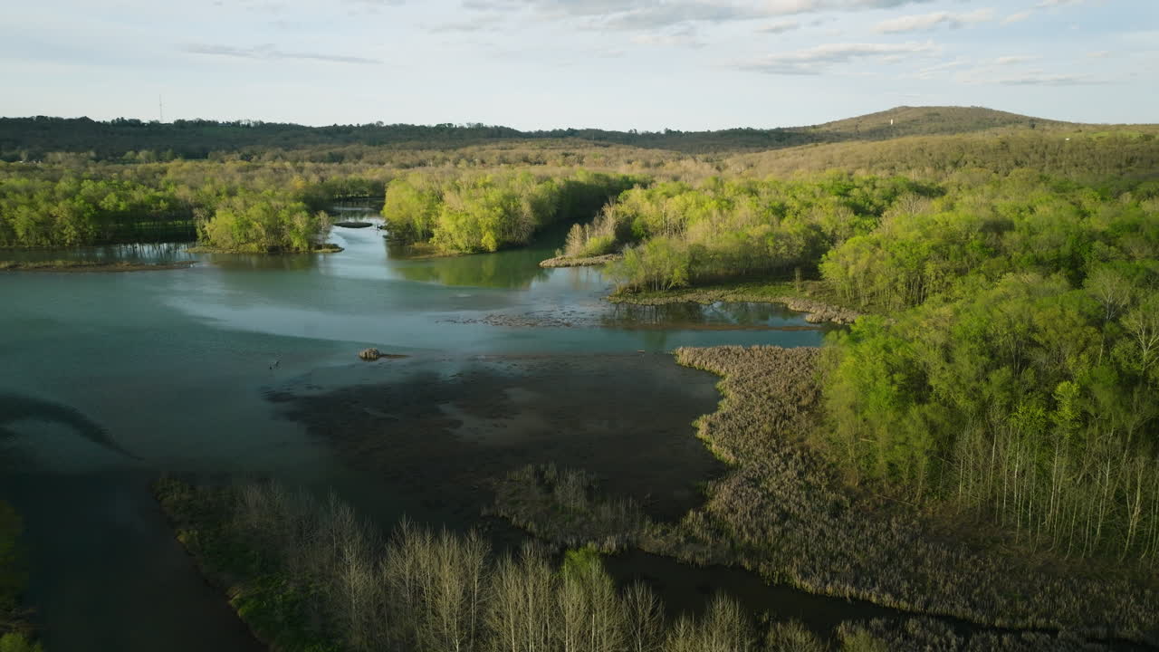 Lush greenery around Lake Sequoyah, Arkansas during a tranquil day, aerial view