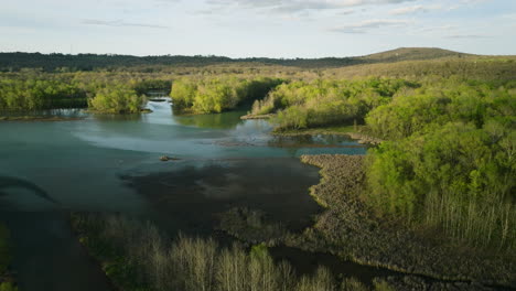 Lush-greenery-around-Lake-Sequoyah,-Arkansas-during-a-tranquil-day,-aerial-view