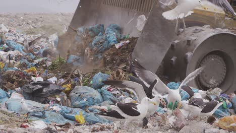 vehicles clearing rubbish piled on a landfill full of trash