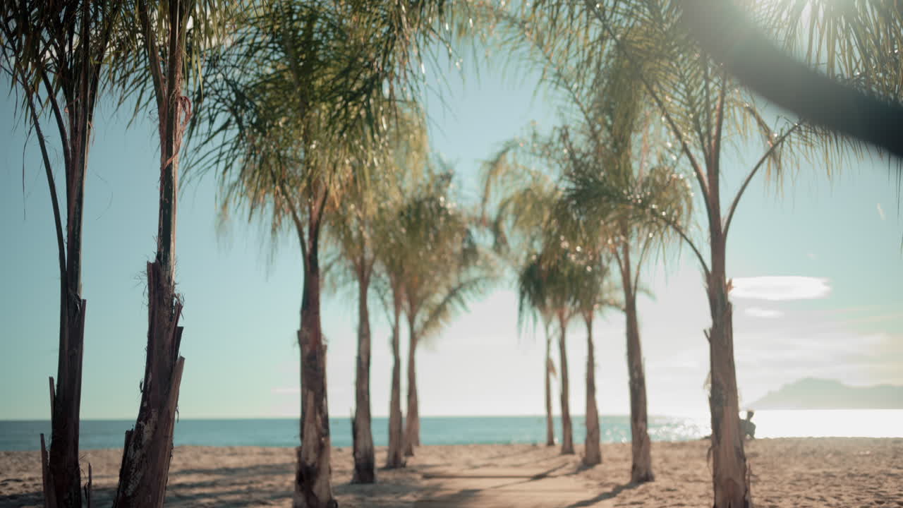 Wooden walkway surrounded by palm trees leading to a sunny beach with clear blue water