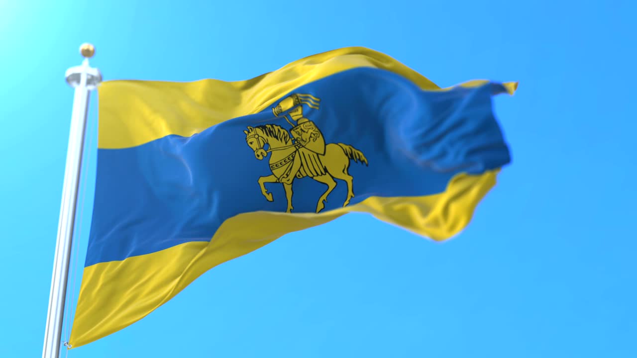 독일 메클렌부르크-포르포메른 주 슈베린 시의 국기. 루프