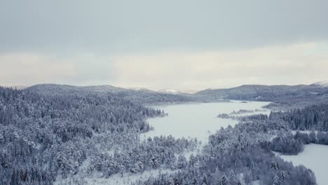 Paisaje-Nevado-Sobre-El-Lago-Del-Bosque-De-Montaña-Después-De-La-Tormenta-De-Nieve-Invernal