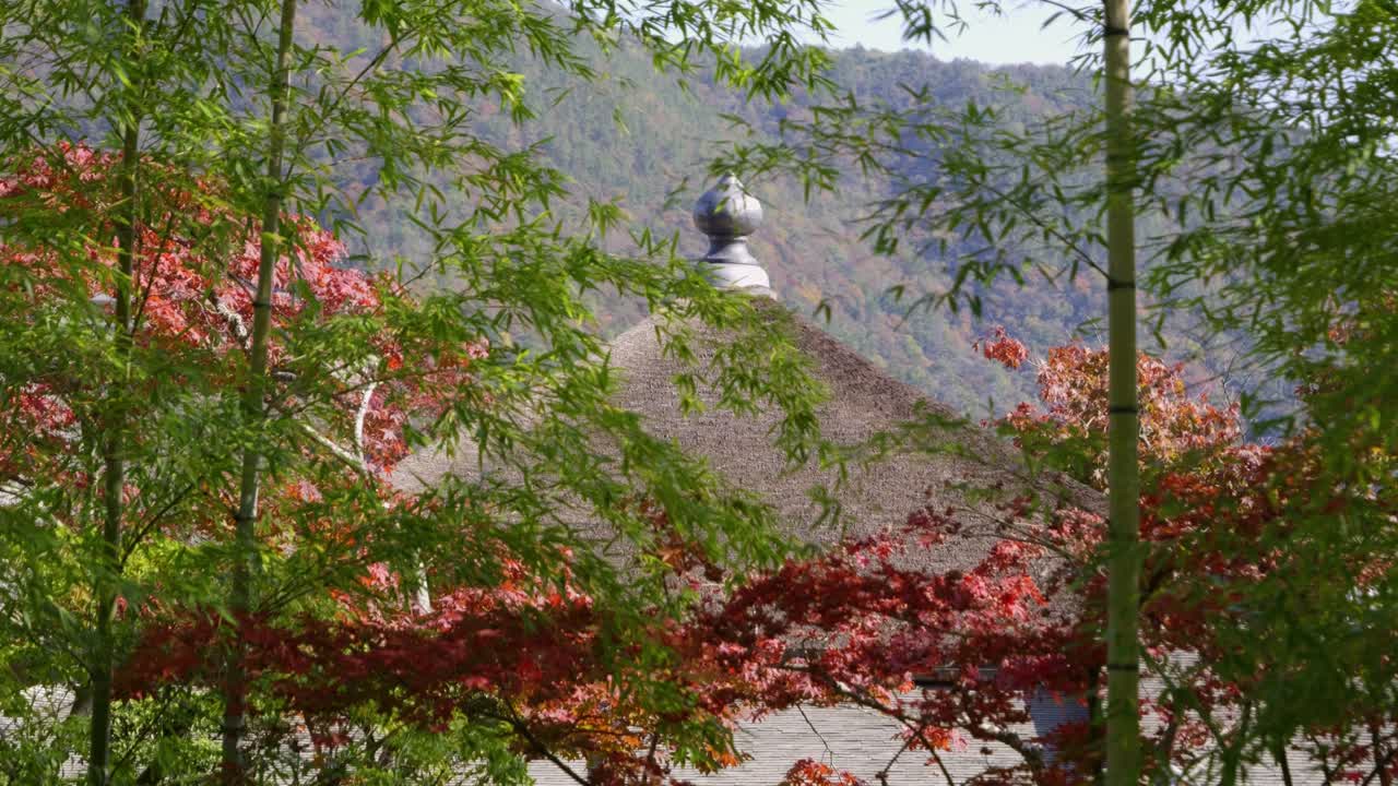 Stunning temple with traditional Japanese straw rooftop with fall colors