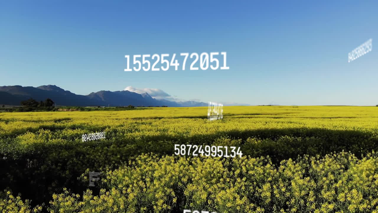 풍경에 대한 데이터 처리의 애니메이션