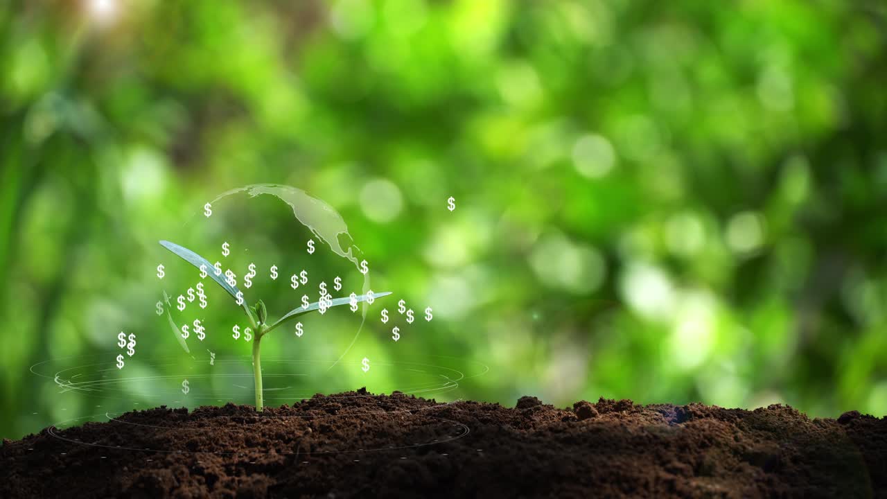 돈 나무 비즈니스 성장 개념 달러 기호 홀로그램 배경
