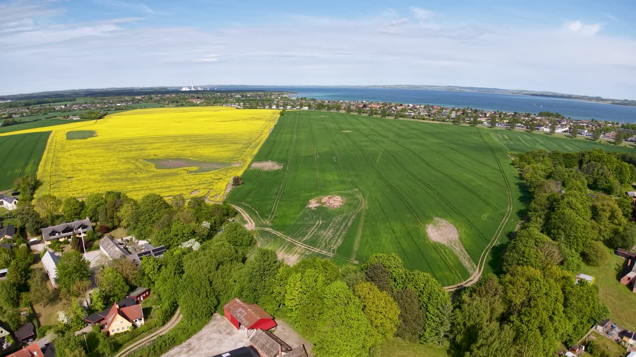 Aerial view of a Danish coastal village surrounded by vibrant yellow mustard fields and green farmland