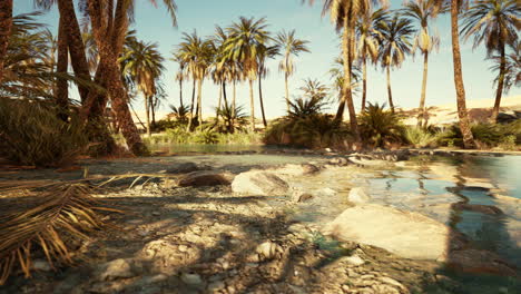 oasis lake in desert surrounded high yellow sand dunes