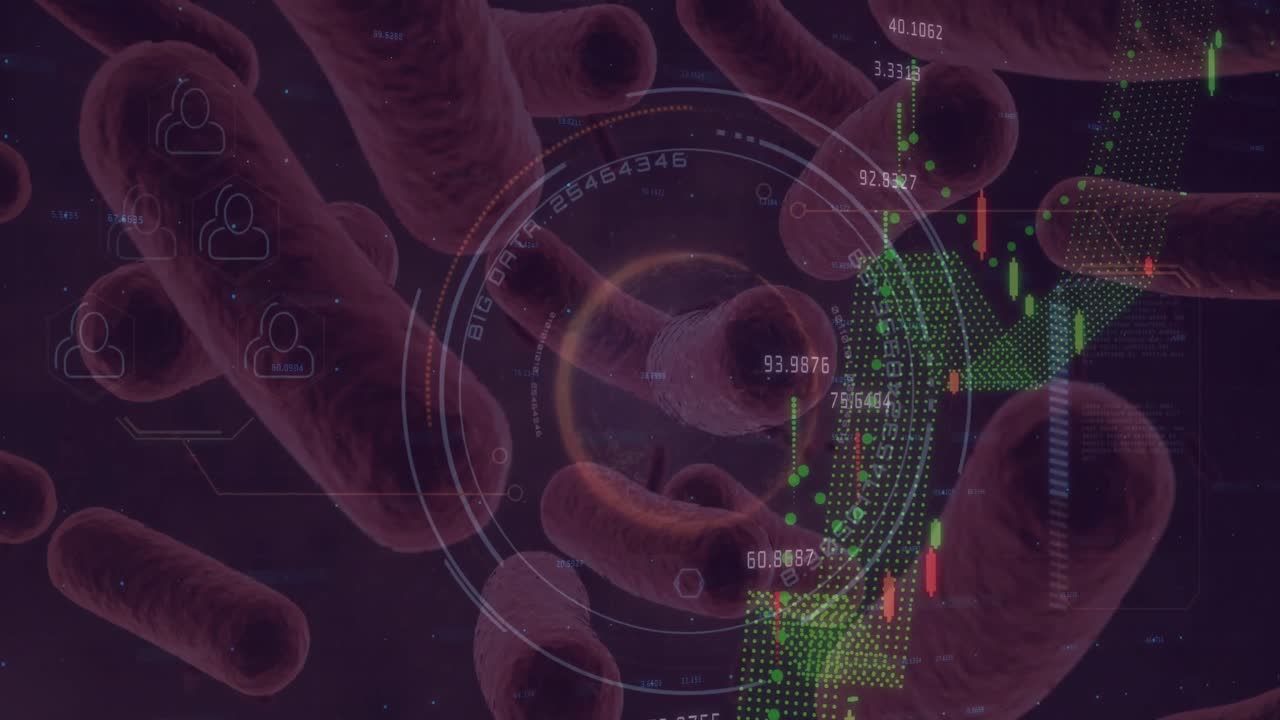 procesamiento de datos financieros contra los vasos sanguíneos