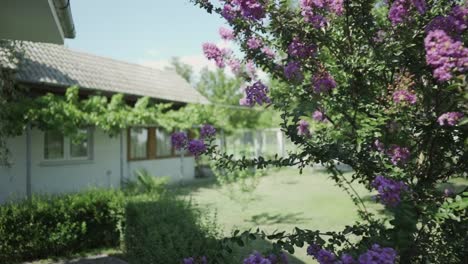 a view of the garden in front of the house of the balkan nostradamus - baba vanga near the volcanic hill kozhuh in the town of rupite in petrich, bulgaria