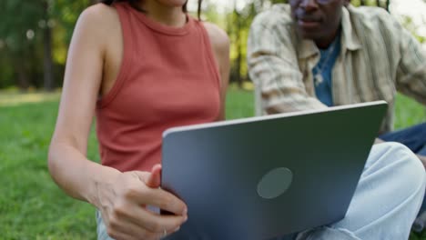 jóvenes adultos colaborando en un parque
