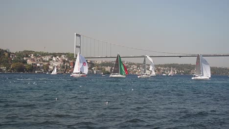 sailboats sailing under a bridge in istanbul, turkey