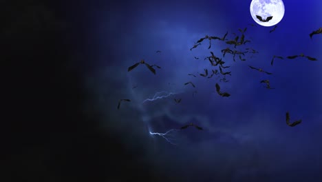 flying bats animation with black green screen loop halloween bats background.