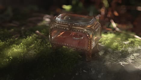 close up of wedding rings inside antique box resting on mossy forest rock