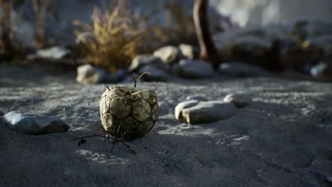 una vieja pelota de fútbol rota arrojada yace en la arena de la playa del mar