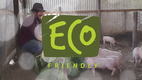 animación de un cartel de texto ecológico sobre un hombre caucásico alimentando a los cerdos en una granja de cerdos.