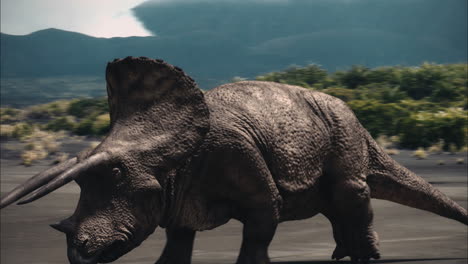 triceratops running on volcanic plain