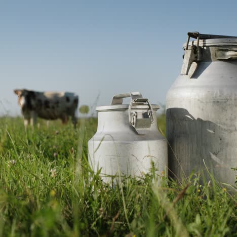 bidones de leche en un pasto como una vaca pasta en un prado