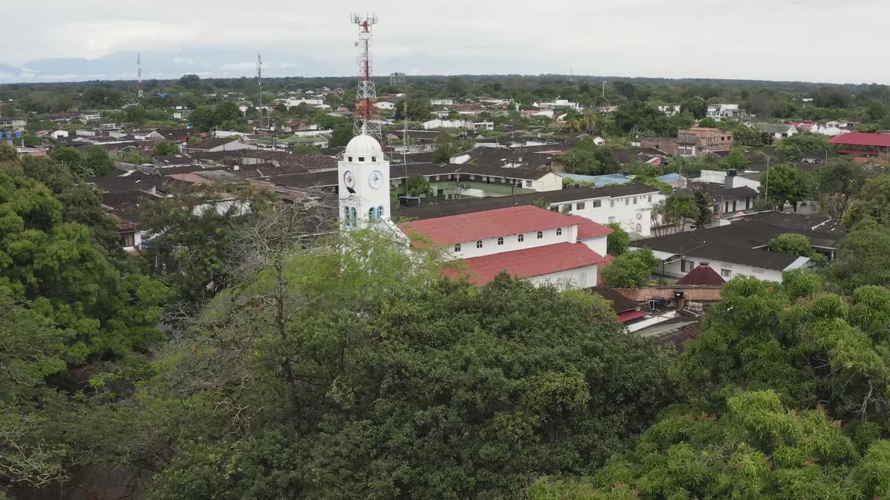 pájaros en un árbol seco y viejo, aldea de san martín - colombia, iglesia en el fondo, con vegetación cerca de la población, creencia católica, video aéreo de avión no tripulado
