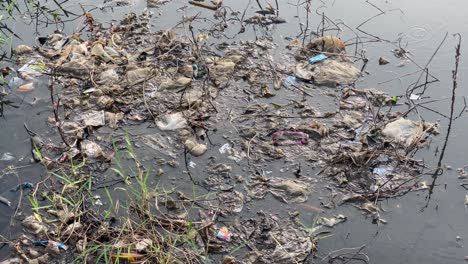 puddles, or dirty rivers with some floating trash. environmental issues.
