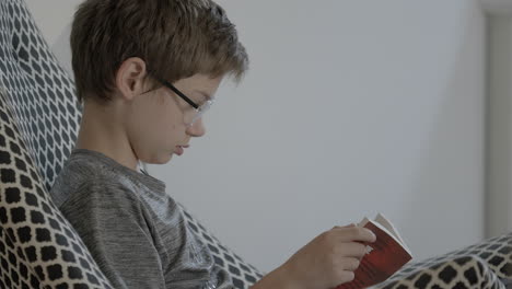 Profile-of-a-cute-young-kid-reading-a-book-in-a-stylish-chair