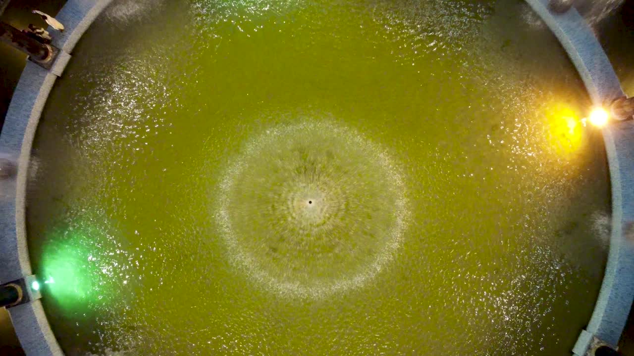 центральный фонтан зрелище в ночь