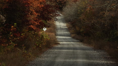 Leere-Unbefestigte-Straße-Durch-Den-Wald-Mit-Herbstlaub