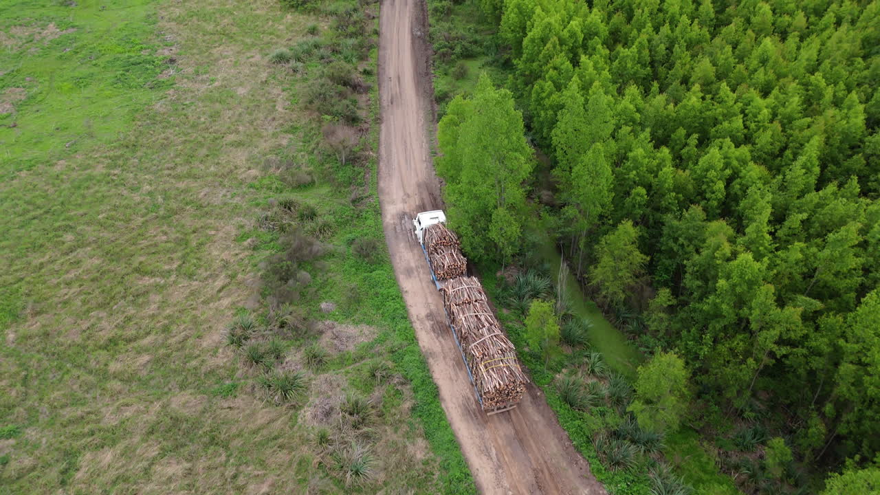 Aerial view of logging truck hauling harvested wood cargo, Ecosystem Management