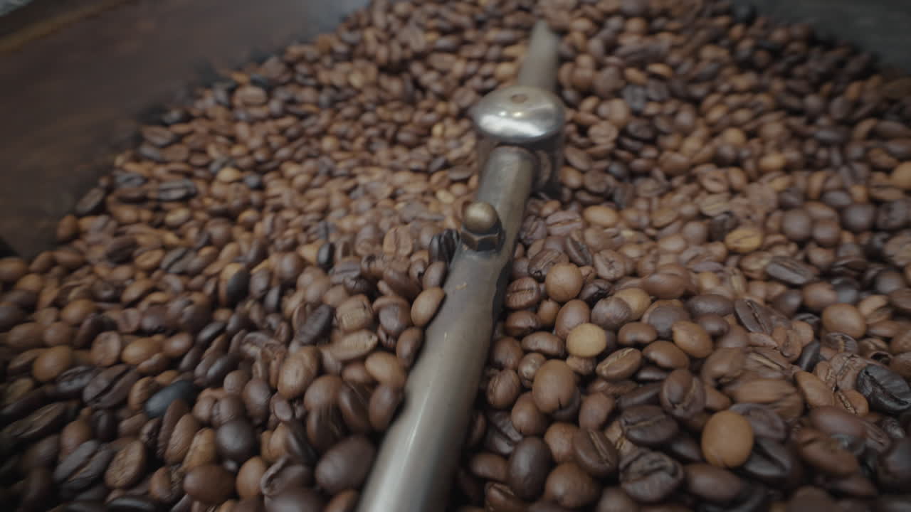 기계 에서 는 커피 콩