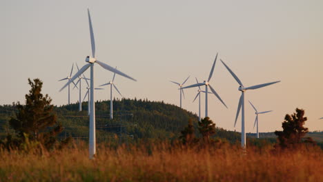 wind turbines farm producing green electricity on hill at sunset