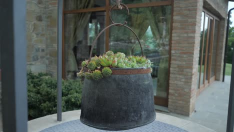 A-slow-motion-shot-of-the-succulent-plant-common-houseleek-in-a-antique-plant-pot-situated-above-a-closed-water-well-with-a-restored-ancient-accommodation-on-the-background