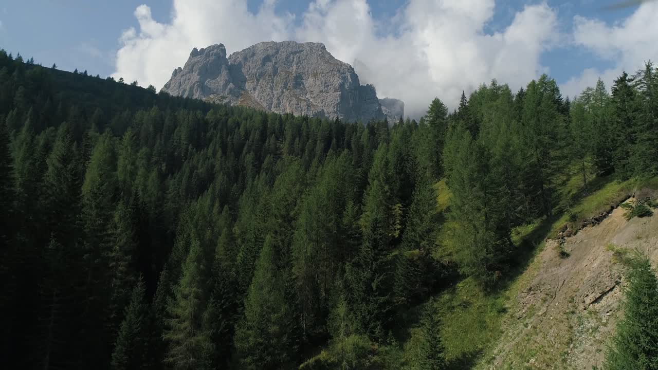 Vista aerea con drone di una cima montuosa aspra che si erge sopra una fitta pineta sul fianco di una collina con alberi verdi e terreno roccioso nelle Dolomiti sotto un cielo luminoso diurno