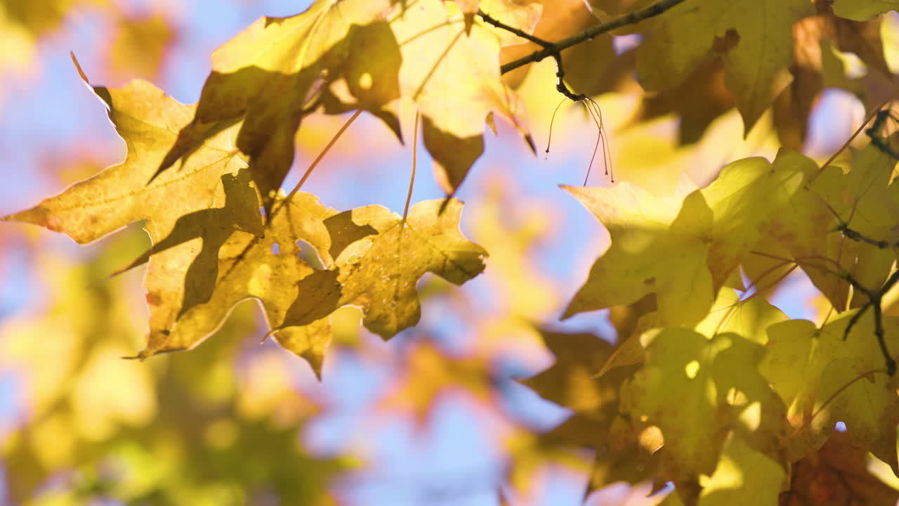 아름다운 가을 색