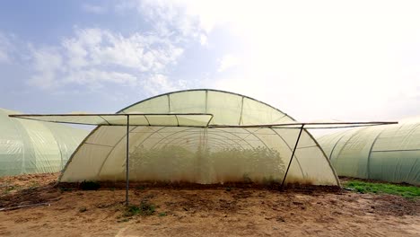 Landwirtschaft-In-Gewächshäusern-Und-Tröpfchenbewässerung