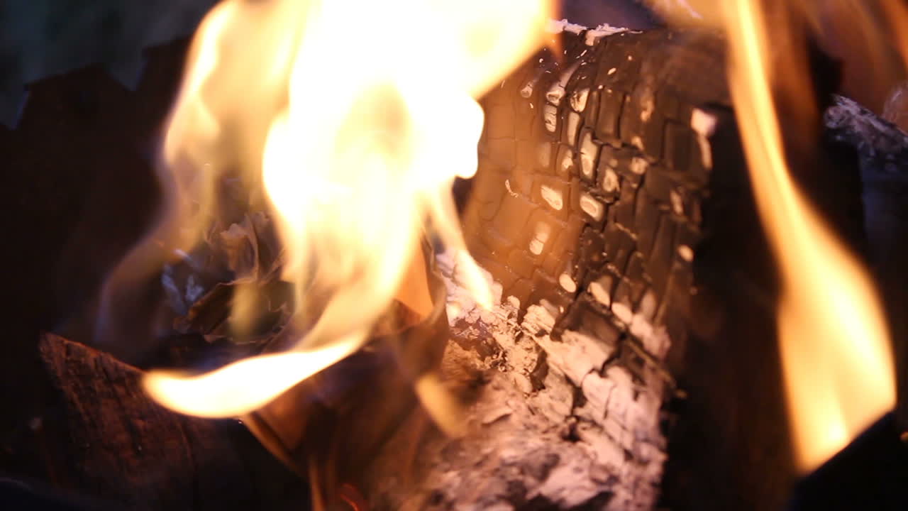 Close Up Of Paper Burning In Flame. Paper burning when in the bonfire flame
