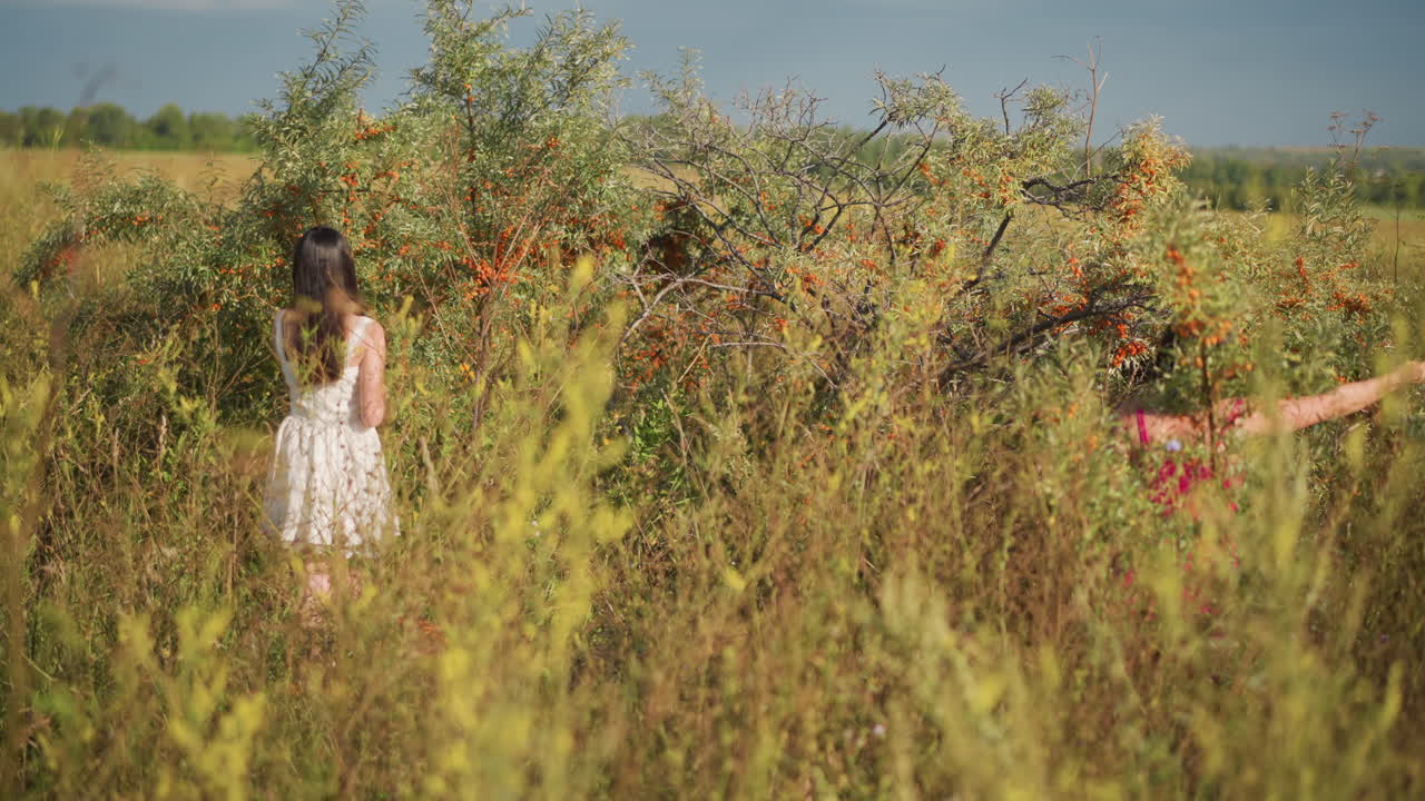 Una chica con un vestido rojo pasea por un prado con hierba alta y arbustos en flor, camina sola hacia unos arbustos de bayas, alcanza las bayas con actitud contemplativa y un humor sosegado, con una luz cinematográfica cálida, un horizonte lejano y un toque nostálgico