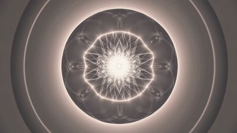 mandala resumida y brillante