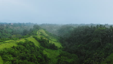 Filmische-Drohnenaufnahme-Des-Campuhan-Ridge-Walk-In-Ubud,-Bali,-Indonesien