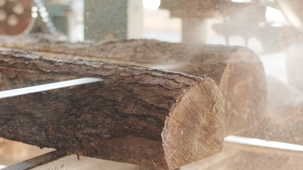 Sawing machine at wood production factory. Timber material processing and cutting at sawmill. Manufacturing process at lumber mill. Automatic Circular Sawing Machine