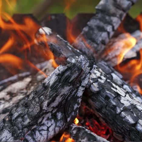 close up of bonfire