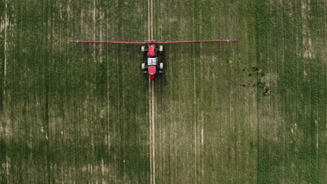 Granjero-Conduciendo-El-Tractor-Agrícola-Y-Rociando-Insecticidas-En-El-Campo-De-Trigo-En-Saskatchewan,-Canadá---Drone-Aéreo---Vista-Superior