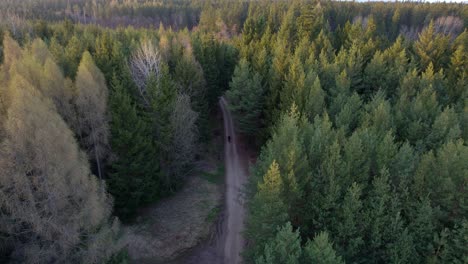 Vista-Aérea-De-Drones-A-Vista-De-Pájaro-De-Un-Hombre-Solitario-Caminando-Por-Un-Camino-Entre-árboles-Verdes-De-Un-Bosque-De-Pinos-En-El-Campo-De-Chequia