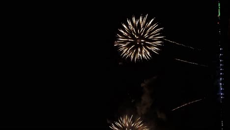 fantastic fireworks festival at the end of the year near the seafront - vertical video